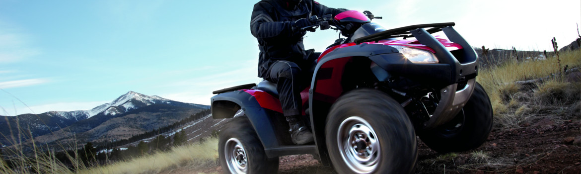 2017 Honda® Four Trax Rincon for sale in Lake Cycle, Merrillville, Indiana